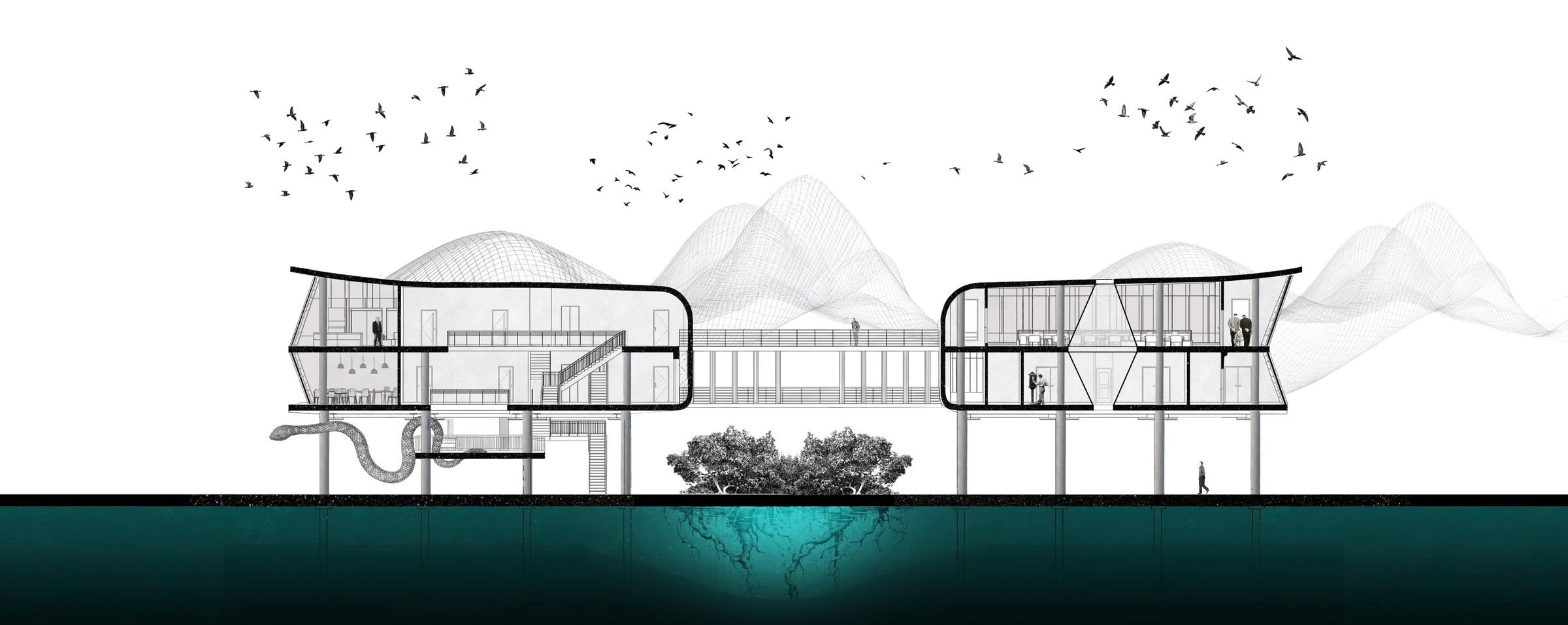 Sectional render with birds